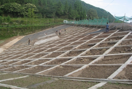 水库堤坝白蚁防治